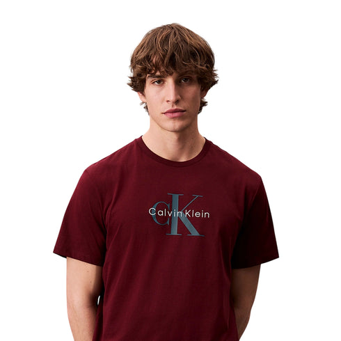 Calvin Klein Jeans T-shirt Calvin Klein Jeans T-Shirt Uomo M A25-CALVIN KLEIN JEANSLV04RB862G-VLP-M - Francavilla Moda