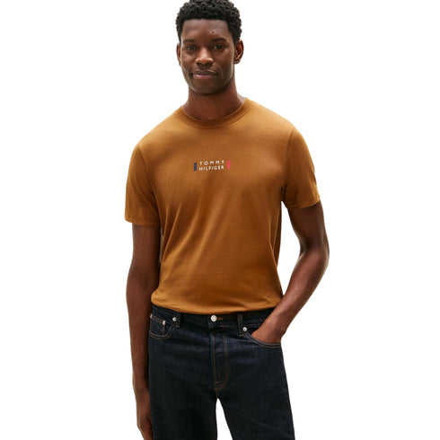 Tommy Hilfiger T-shirt mm T-shirt uomo in cotone regular fit S P26-TOMMY HILFIGERMW41453-GWP-S - Francavilla Moda