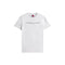 Tommy Hilfiger T-shirt T-shirt Uomo stampa Linear Logo XXS P25 - TOMMY JEANSDM20744 - PJ4 - XXS - Francavilla Moda