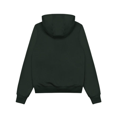 Men's sweatshirt with zip and hood