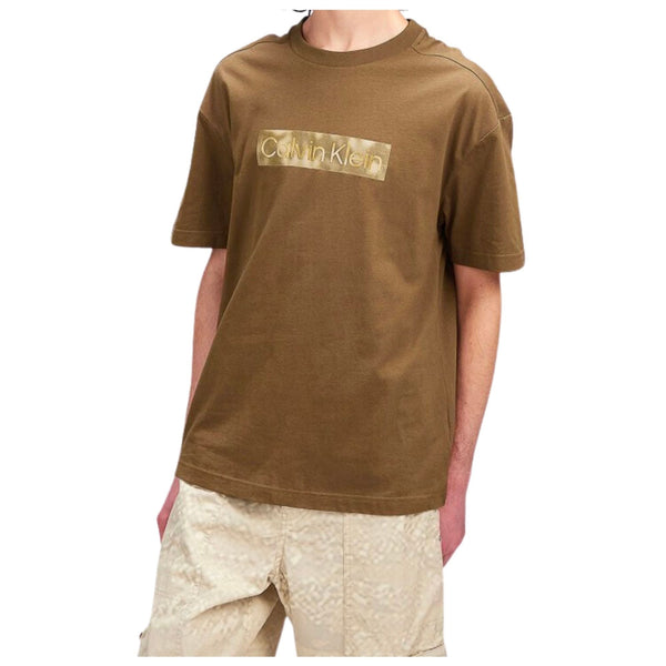 T-shirt Uomo cotone Beige Calvin Klein- Francavilla Moda