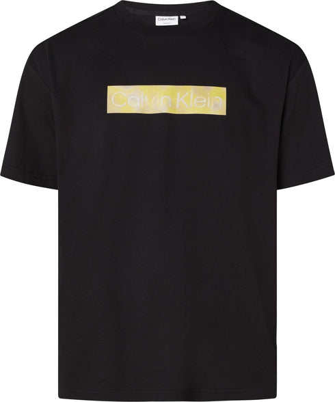 T-shirt Uomo cotone Nero Calvin Klein- Francavilla Moda