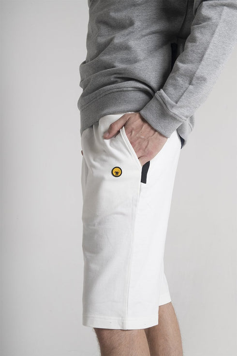 Bermuda Uomo FALTER in cotone Bianco CIESSE PIUMINI- Francavilla Moda