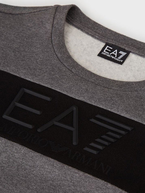 Felpa Uomo logo gommato Grigio Nero EA7 Emporio Armani- Francavilla Moda