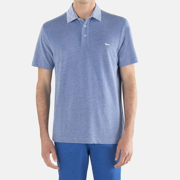 Polo Uomo in cotone a collo rigato Azzurro Harmont & Blaine- Francavilla Moda