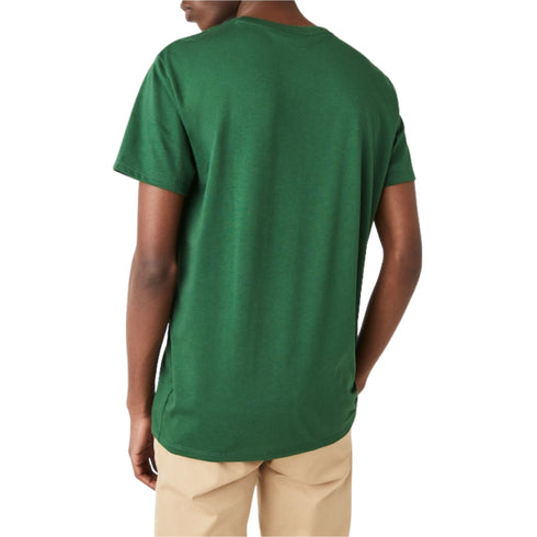 T-shirt Uomo Cotone Pima basica Verde LACOSTE- Francavilla Moda